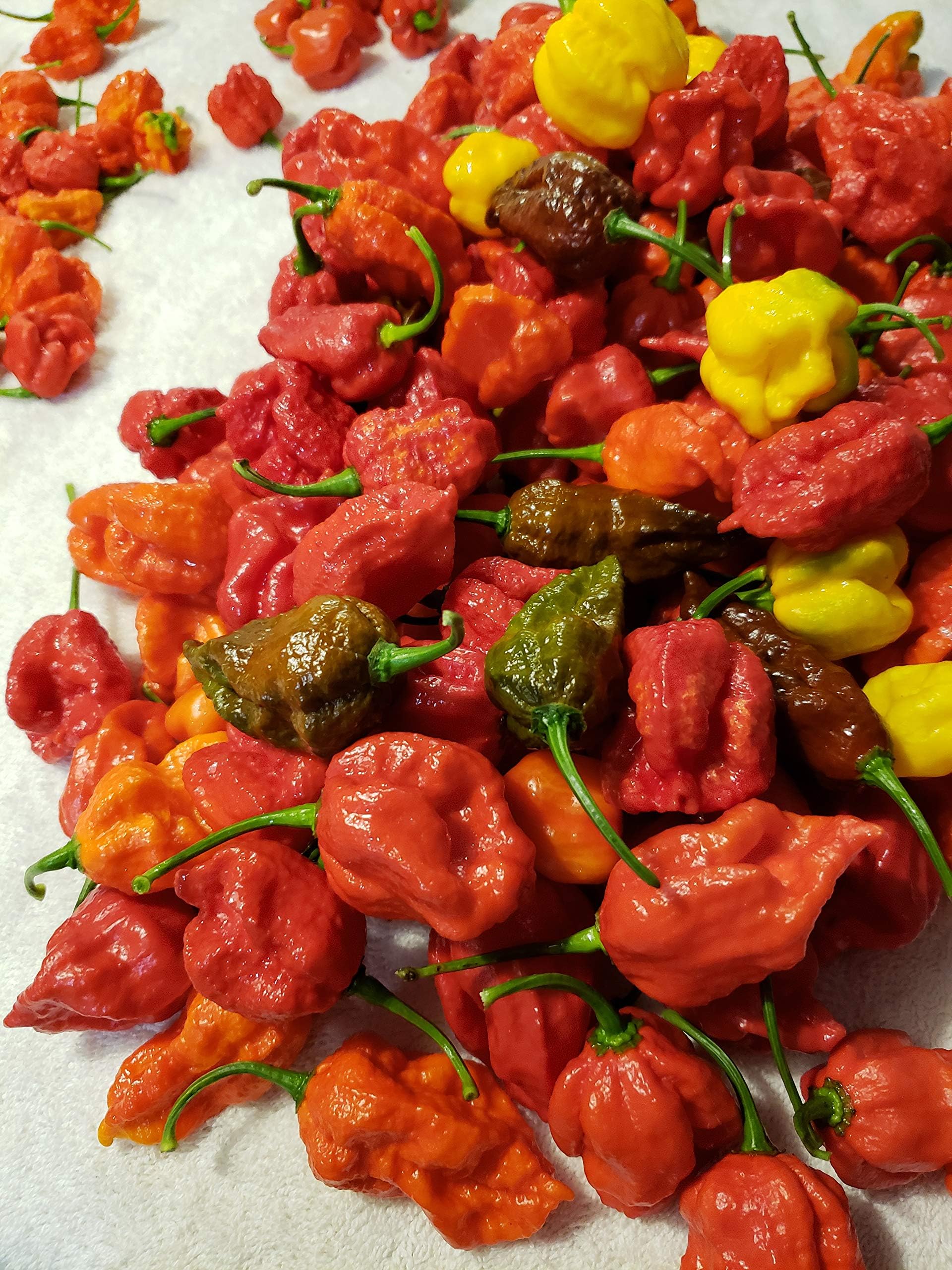 Fresh Super Hot Peppers - Mixed Box: Carolina Reapers, Ghost, Scorpion, ETC.