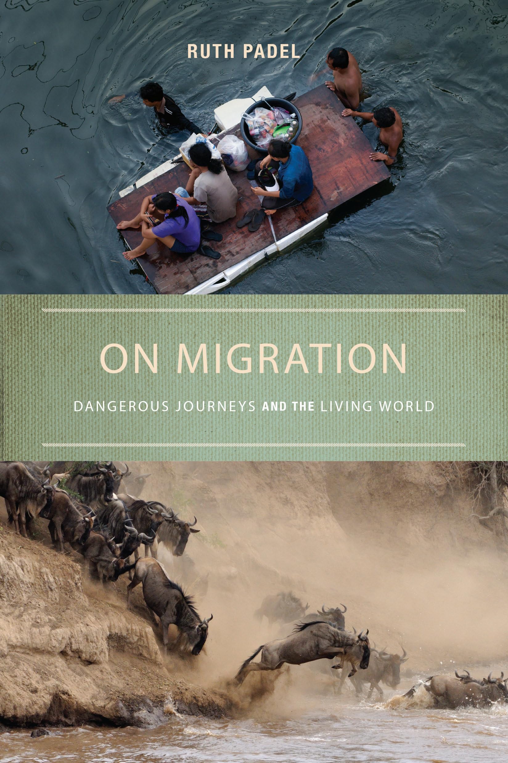 On Migration: Dangerous Journeys and the Living World