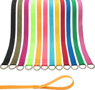 Slip Lead Dog Leash, 12 Pack 6 FT Short Leash with O-Ring for Small, Medium & Large Dogs, Pet Leads Leashes Bulk for Walking, Training, Rescues, Grooming, Shelter, Running Outdoor