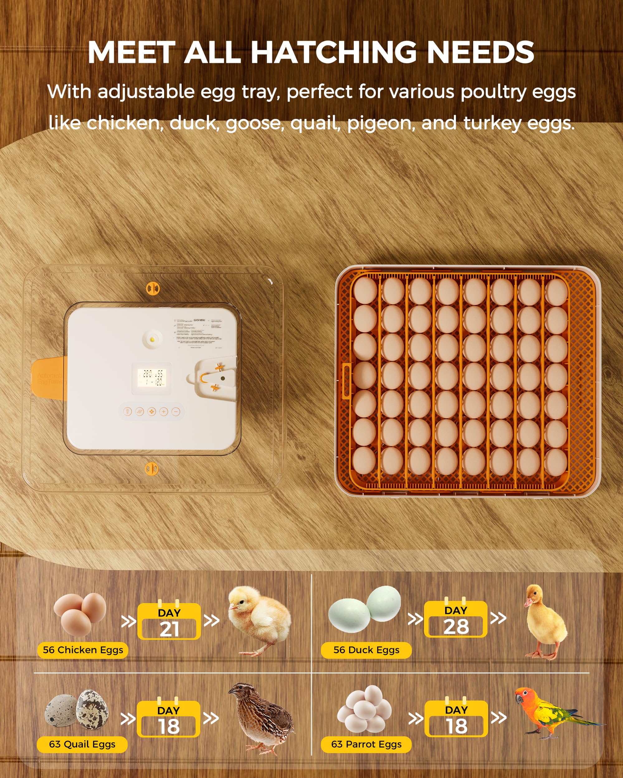 Incubadora de 56 huevos con giro automático de huevos y control de humedad, visualización de 360°, bandejas de huevos de doble tamaño para pollo, pato, ganso, pavo, codorniz y huevos de loro