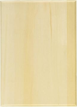 Walnut Hollow Basswood Rectangle Thin Plaque, 5 by 7-Inch 1776