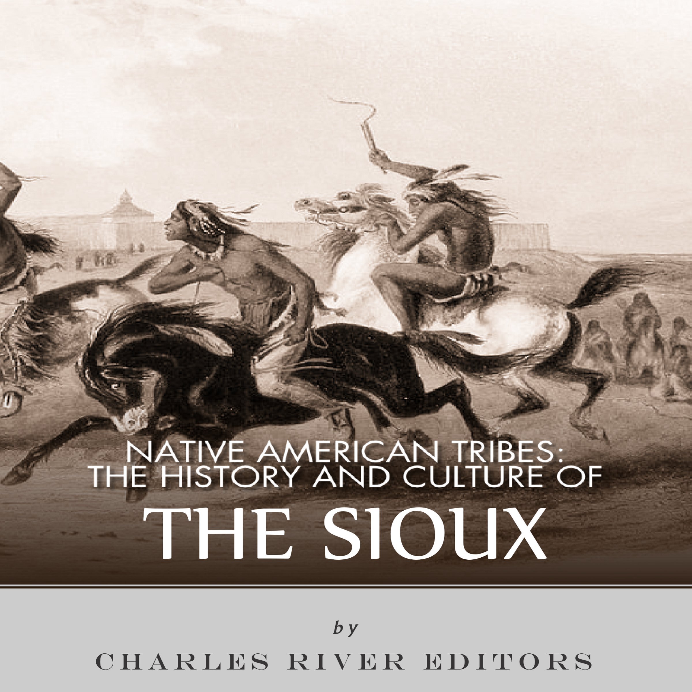 Cover art for Native American Tribes: The History and Culture of the Sioux