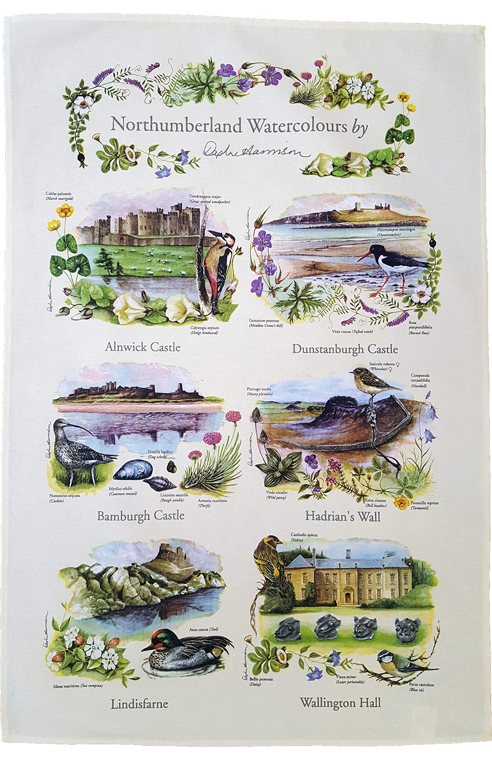 Northern Heritage Northumberland Watercolour Tea Towel