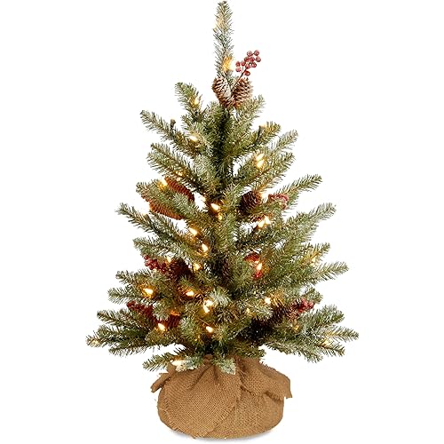 National Tree Company Pre-Lit Artificial Mini Christmas Tree, Green, Dunhill Fir, White Lights, Decorated with Pine Cones, Berry Clusters, Frosted Branches, Includes Cloth Bag Base, 3 Feet