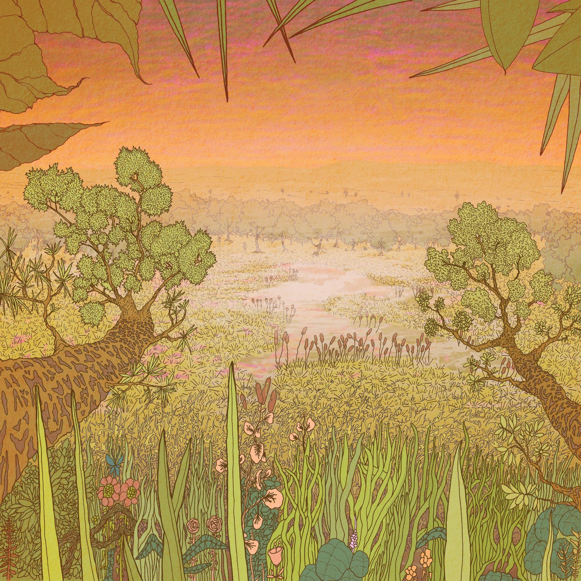 Mirage On The Meadow (LP) [VINYL]