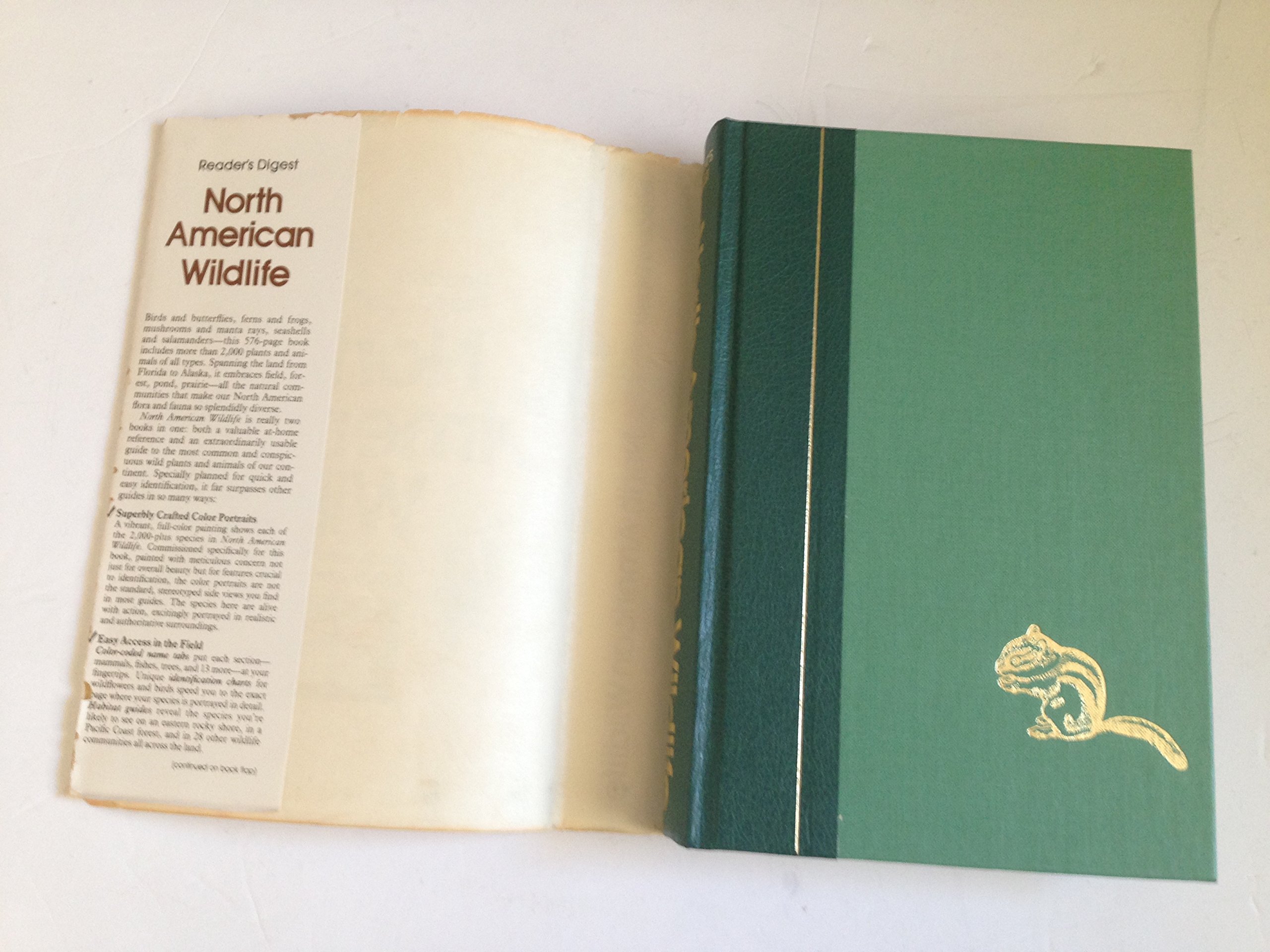 Reader's Digest North American Wildlife - Image 4