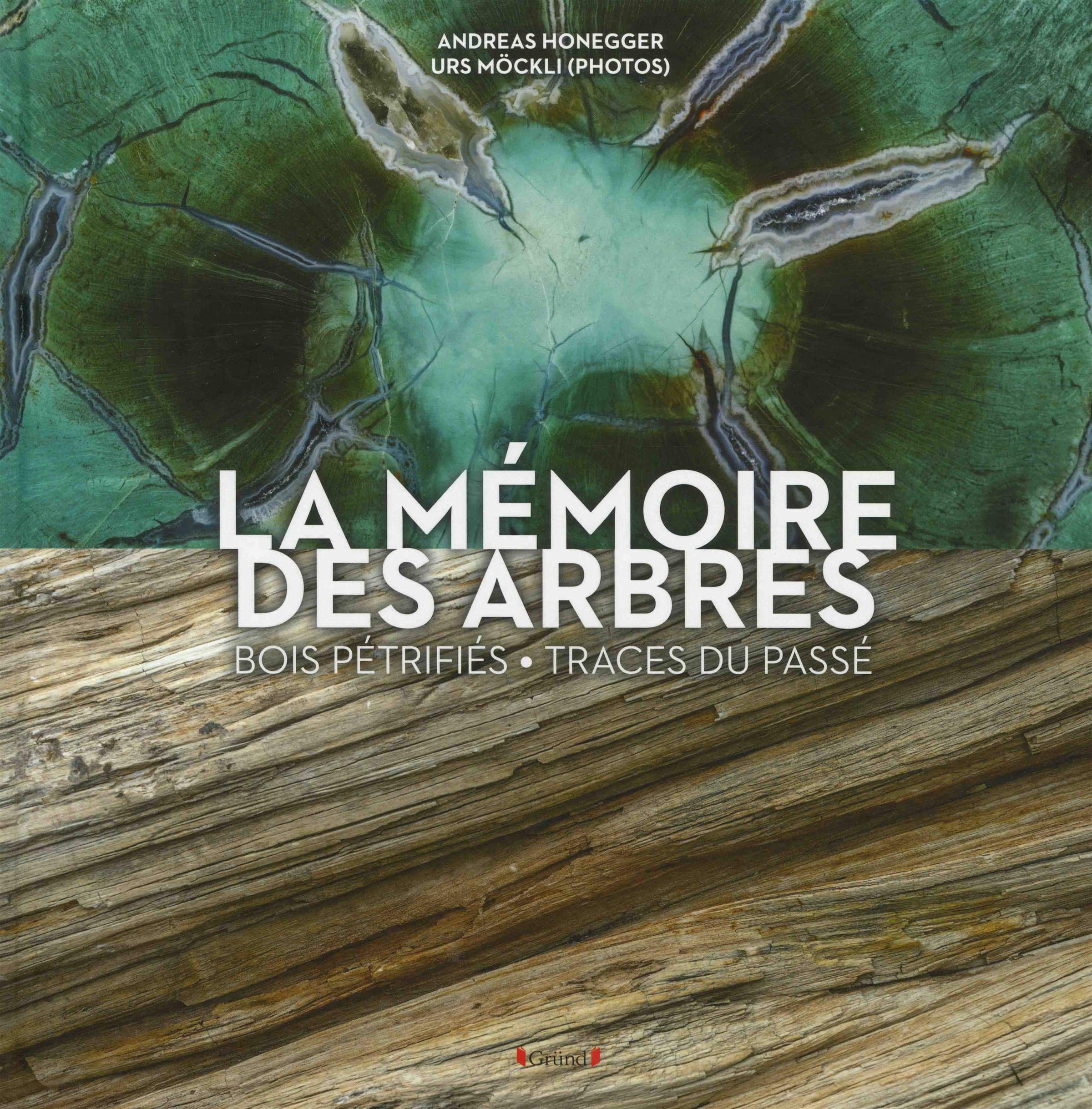 La Mémoire des arbres livre illustré nature et botanique broché