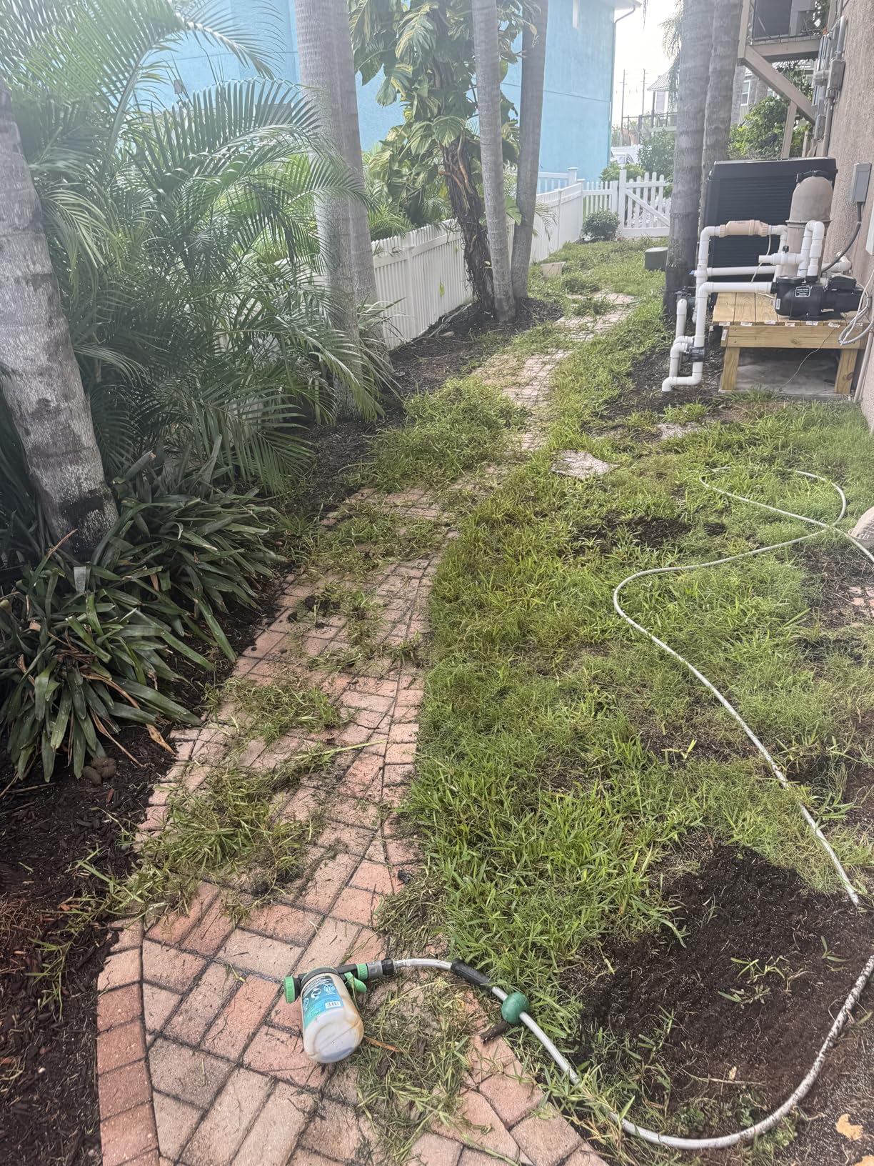 BASF Drive XLR8 Crabgrass Killer for Lawn & Turf, Liberia | Ubuy