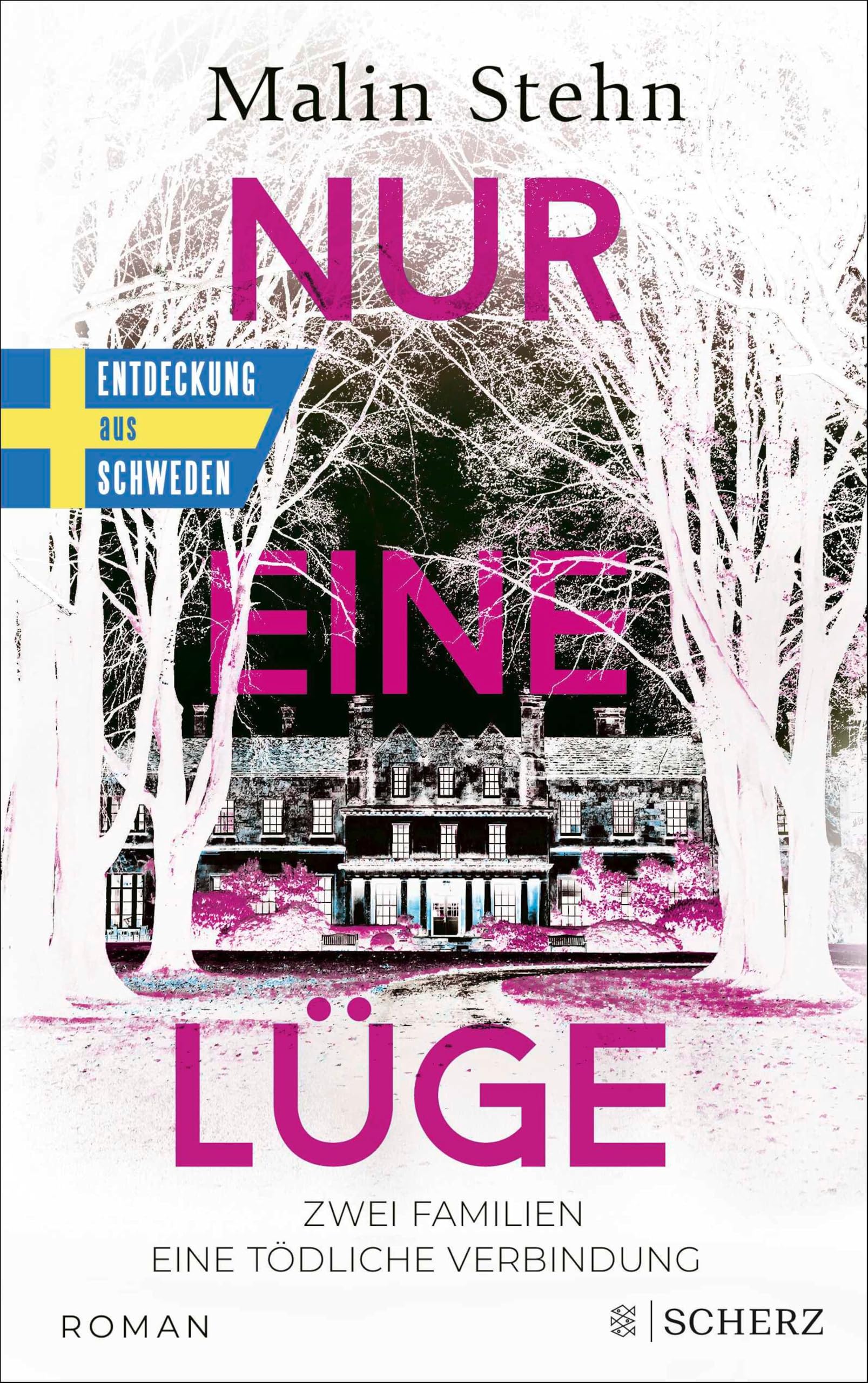 Nur eine Lüge – Zwei Familien, eine tödliche Verbindung: Der psychologisch einfühlsame, spannende Bestseller aus Schweden