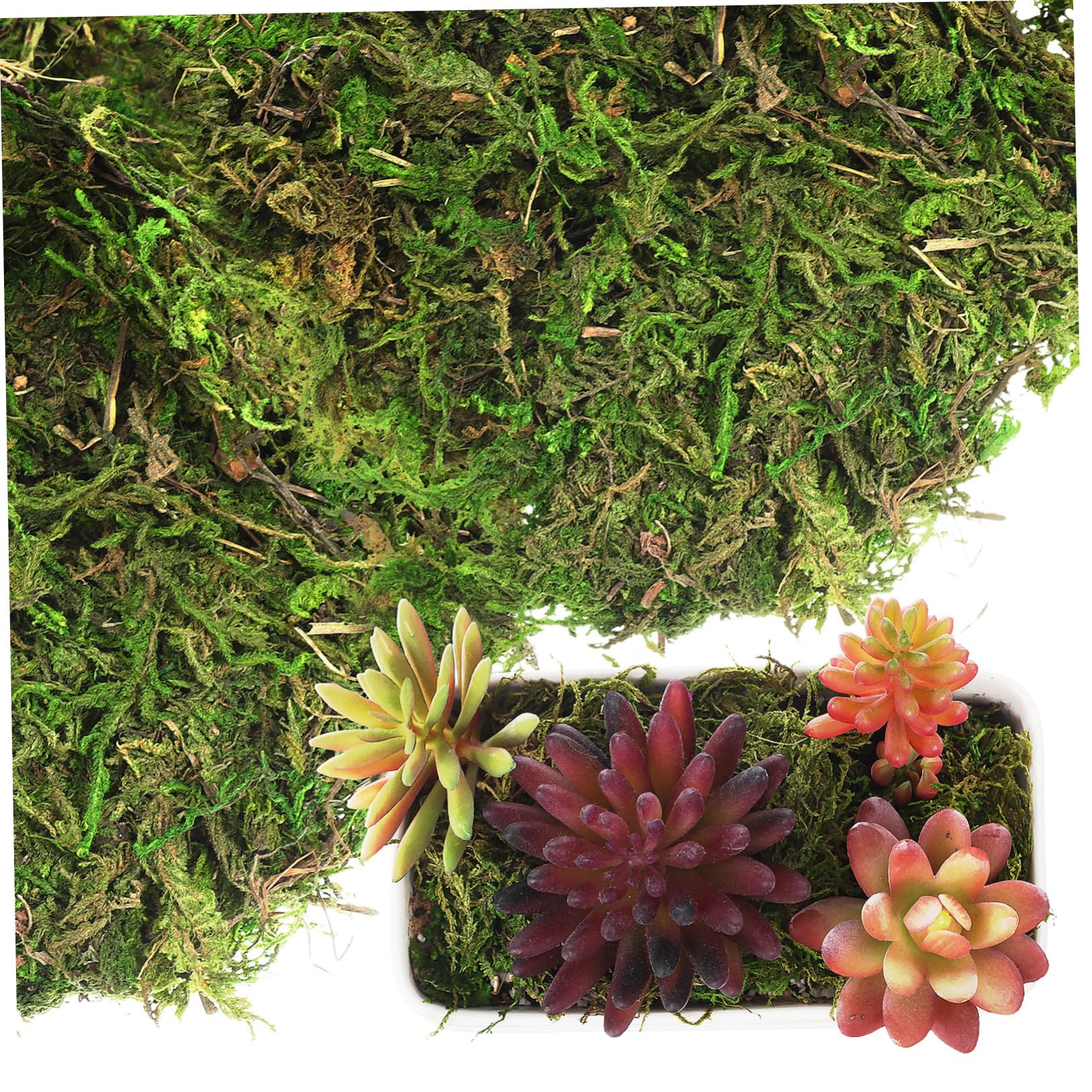 RORPOIR for Crafts Artificial Decor for Plants Decorative Faux for Projects Terrariums for Indoor Decor and Floral Arrangements