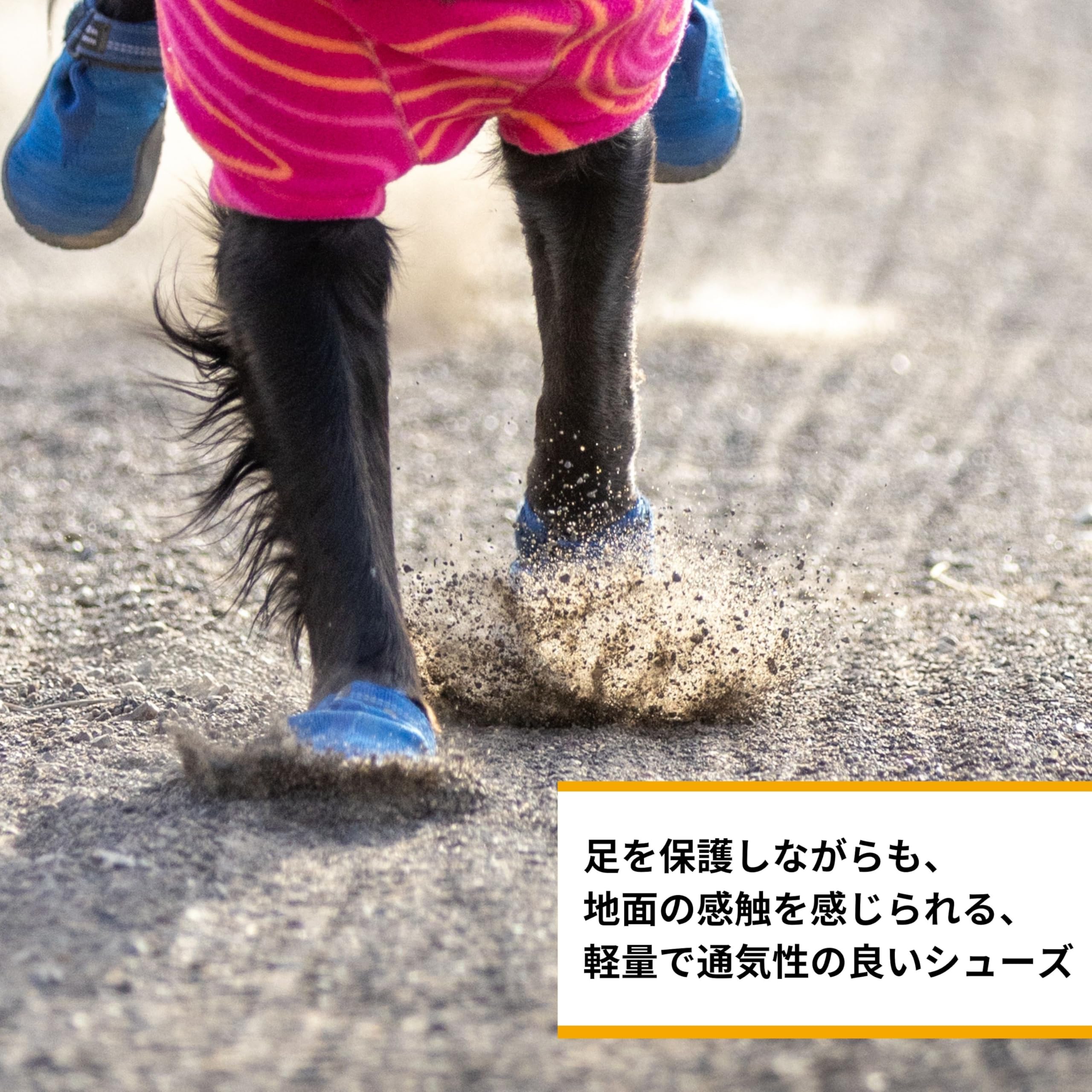 Amazon | RUFFWEAR(ラフウェア)公式 ハイ＆ライト トレイルシューズ