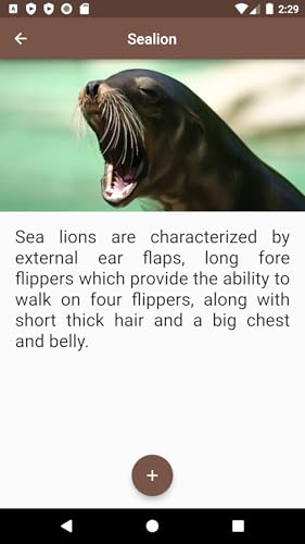 Sea Animals SA