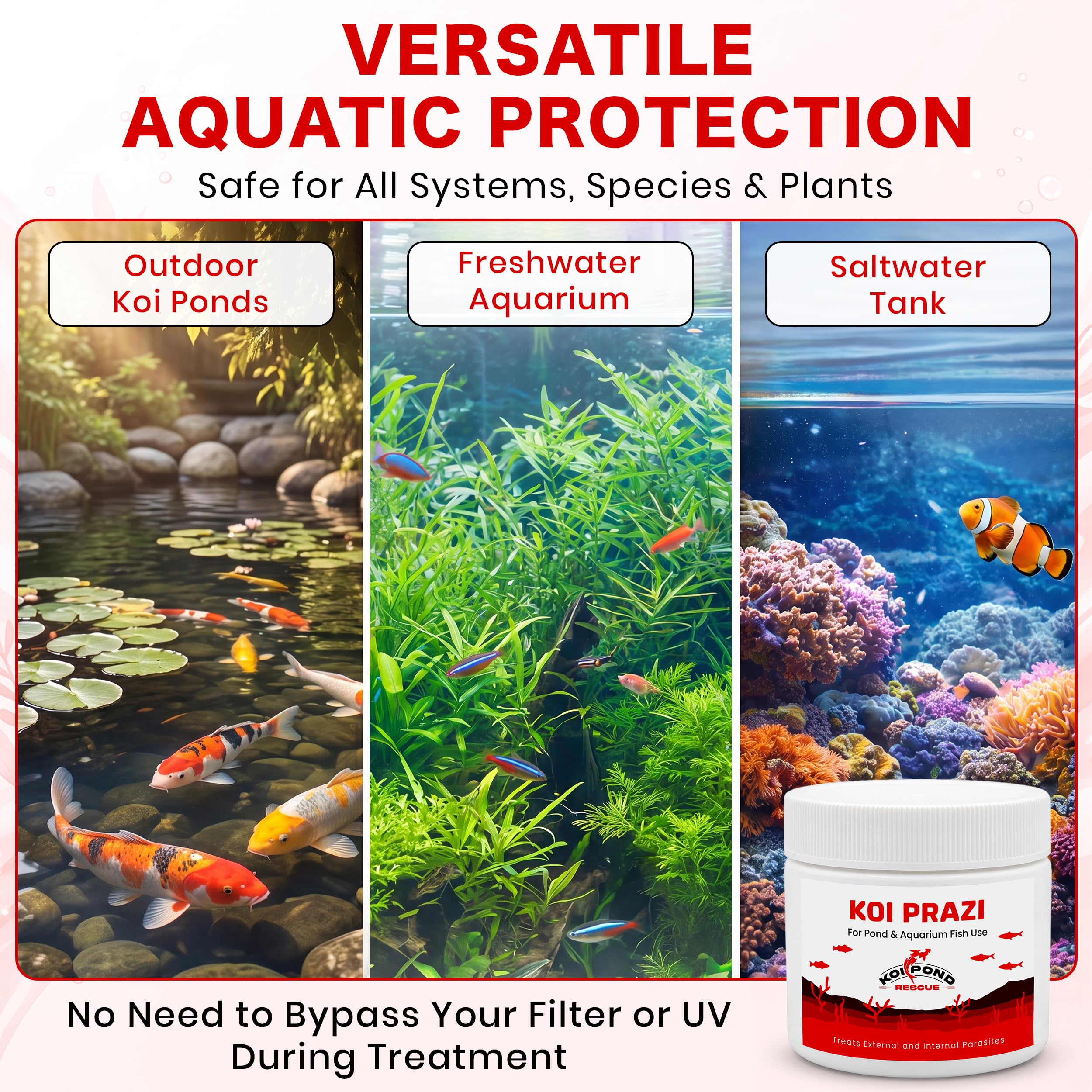 KOI PRAZI para peces de estanque y acuario (100 gramos)