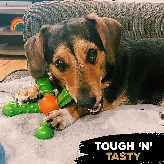 Foto 3 de 8 de Tasty Bone QuattroBone - Juguete masticable de Nailon para Perros pequeños (Pollo Tikka), Indestructible…