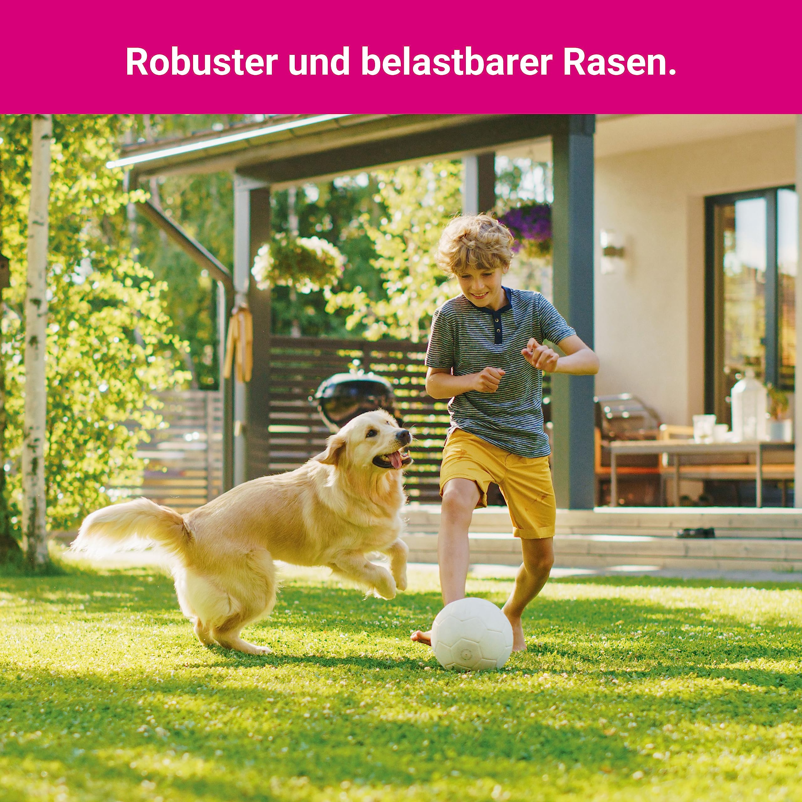 Trockenrasen schnellkeimende Rasensamen 10 kg für 250 m², ideal zur Nachsaat oder Neuanlage, dürreresistent + robuste Rasensaat, trockenresistente Grassamen Samen