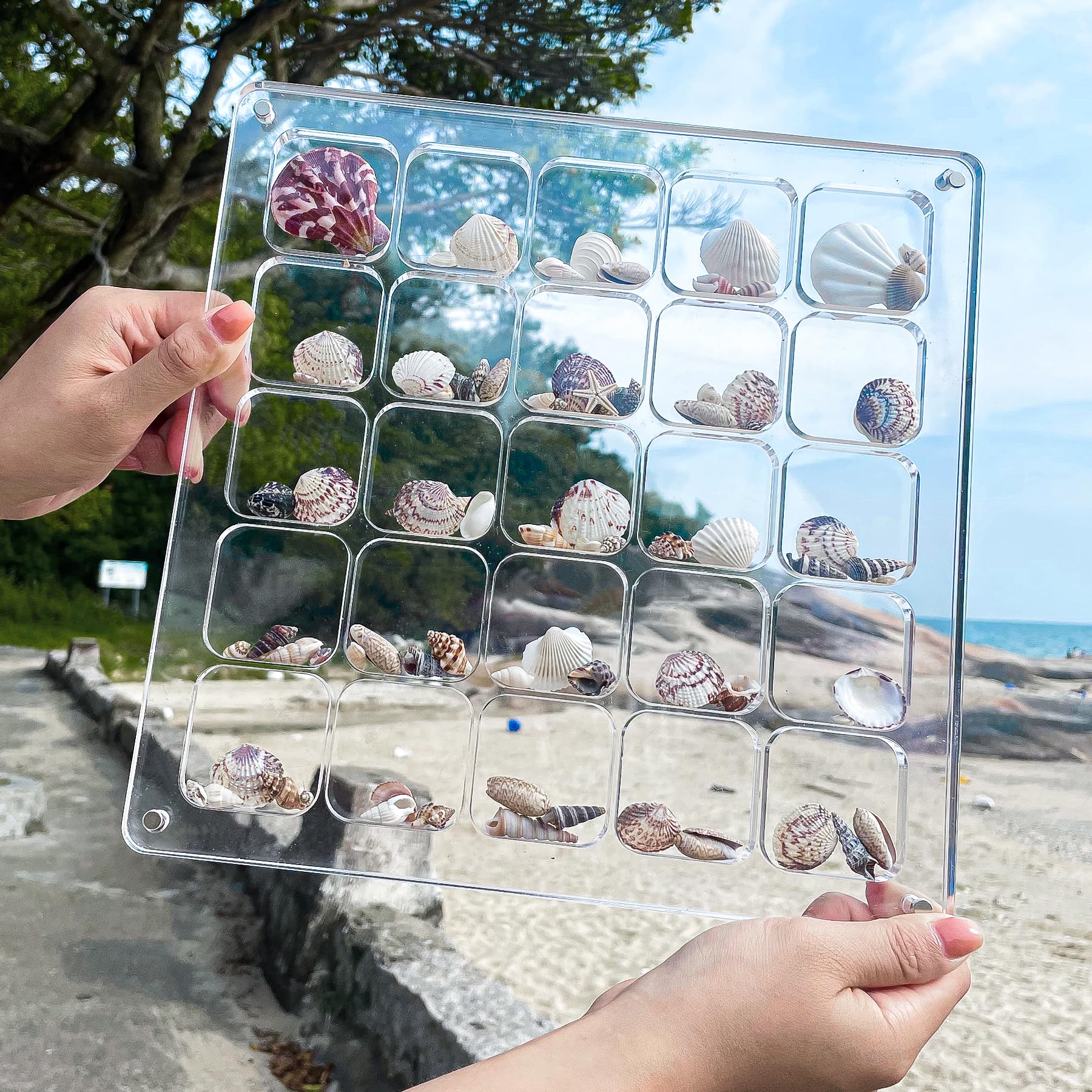 Amazon.com: MUXIUNT Multi-Style Clear Acrylic Magnetic Seashell