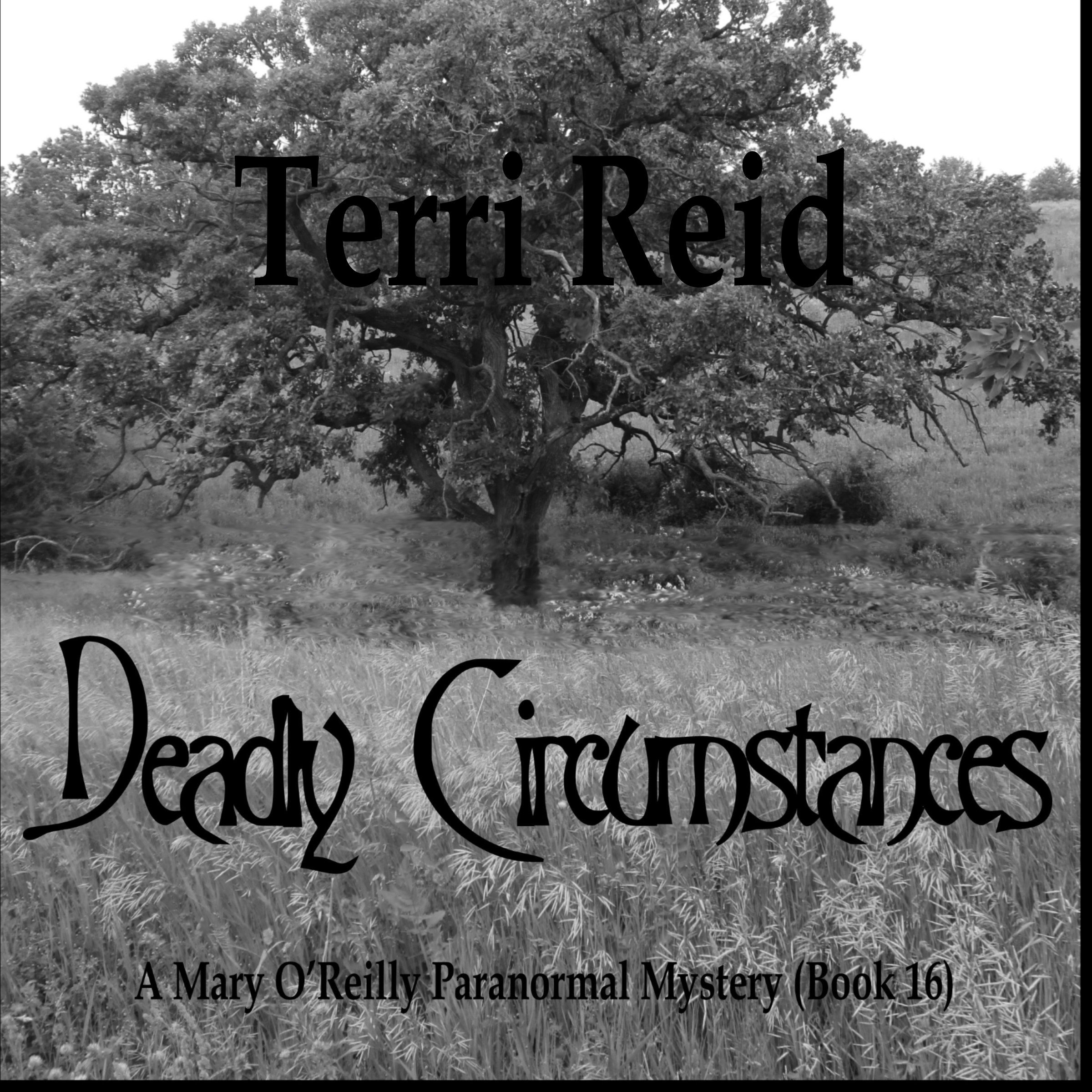 Cover art for Deadly Circumstances