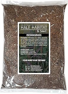 Hale Habitat & Seed Indiangrass Native Grass Seed, Deer & Wildlife Cover...