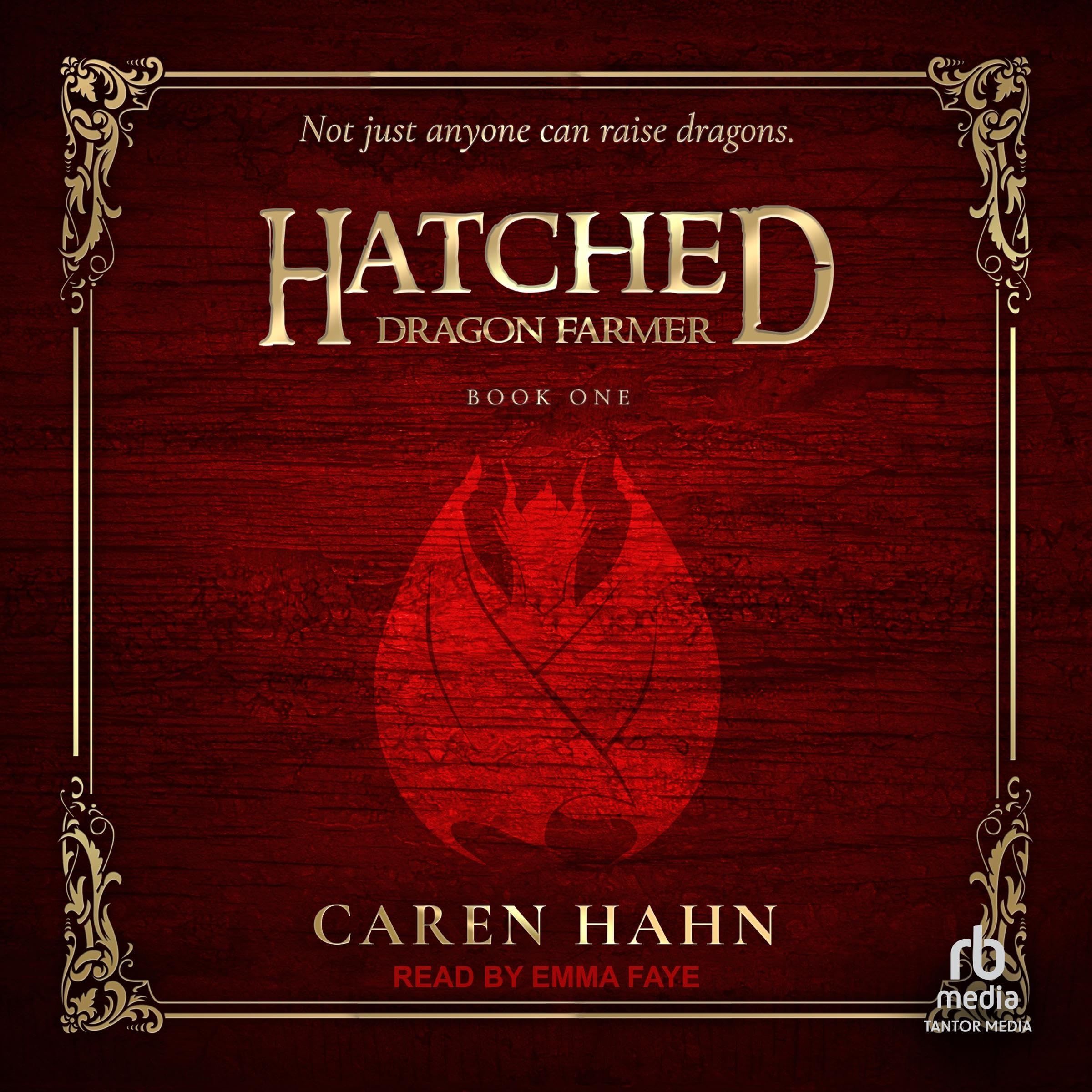Cover art for Dragon Farmer