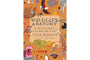 Wildlife Anatomy: The Magnificent Nature of Animals