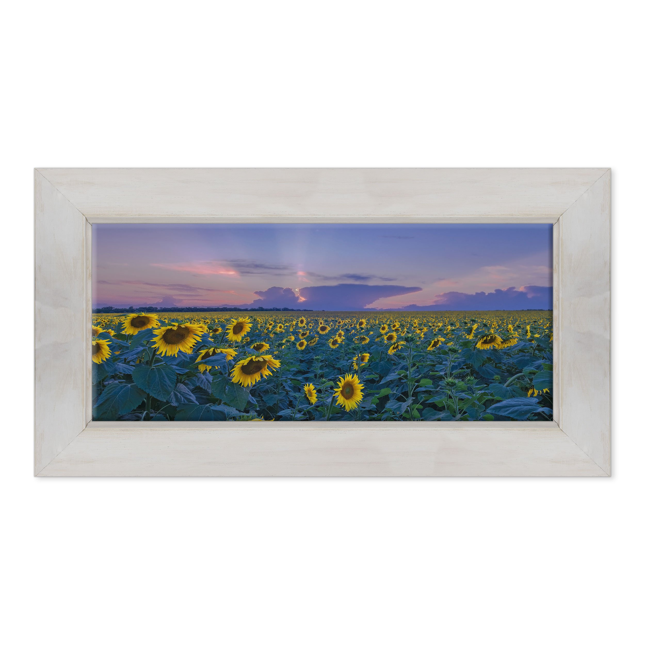 QUADRO PANORAMICO SU TELA CANVAS INTELAIATO - CON CORNICE - Fiori - Girasole - Natura Panorama Paesaggio - Campo Fiorito Bouquet - 30x70cm - Stile Country Bianco Shabby - (cod.5037)