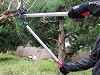 ARS LPB-30L Orchard Lopper