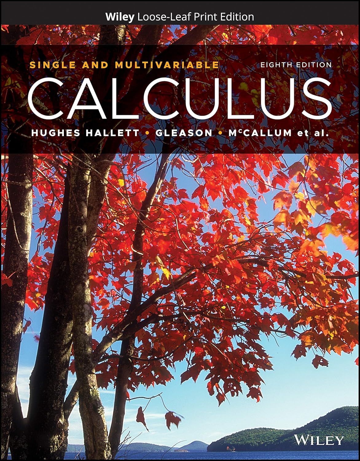 Calculus Single and Multivariable HughesHallett, Deborah, Gleason