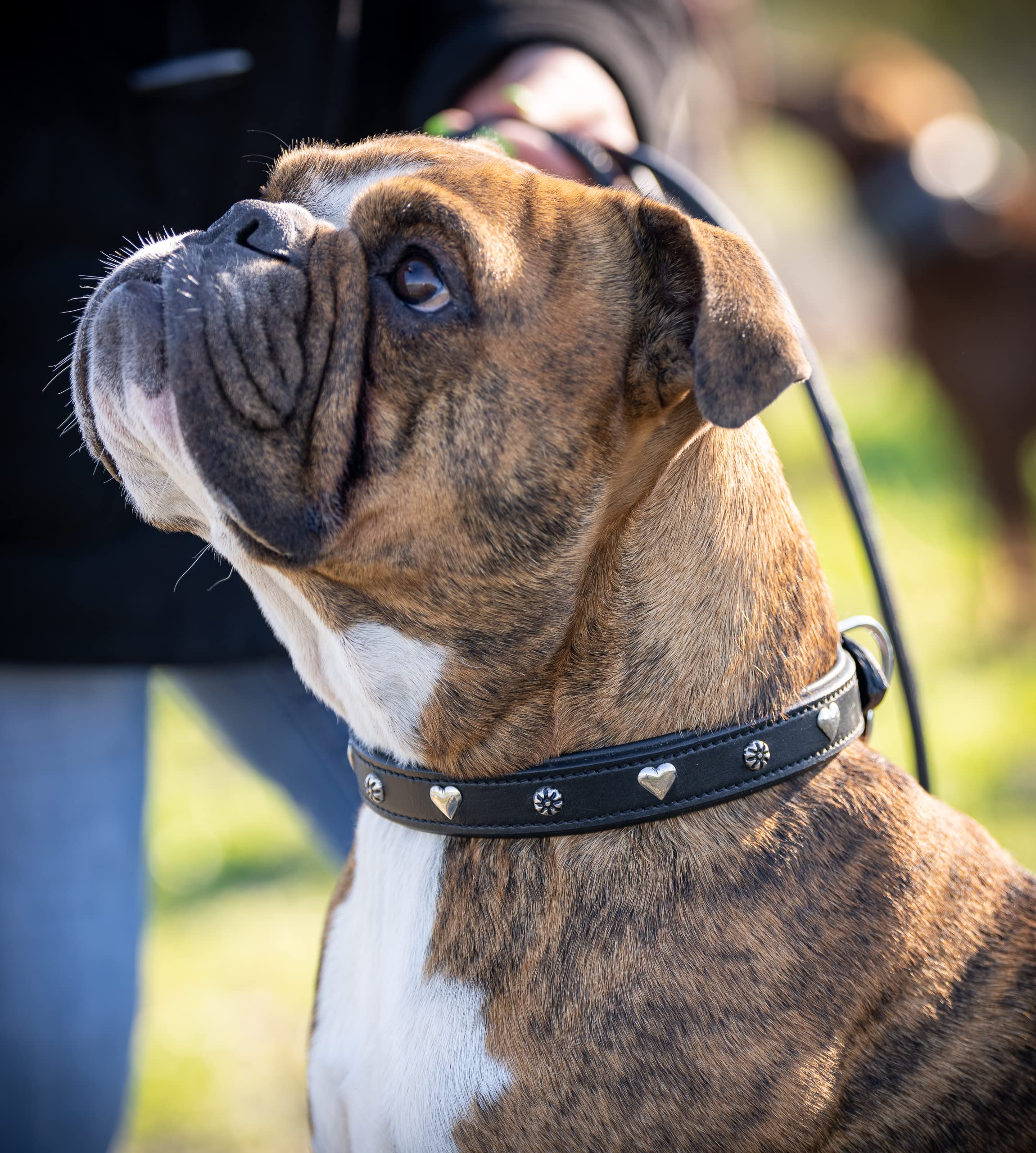 Jack & Russell Leather Dog Collar Black with Appliqués Heart & Flower - Double-Layer Genuine Leather Dog Collar Coer (M (34.5-43.0)) - Image 2