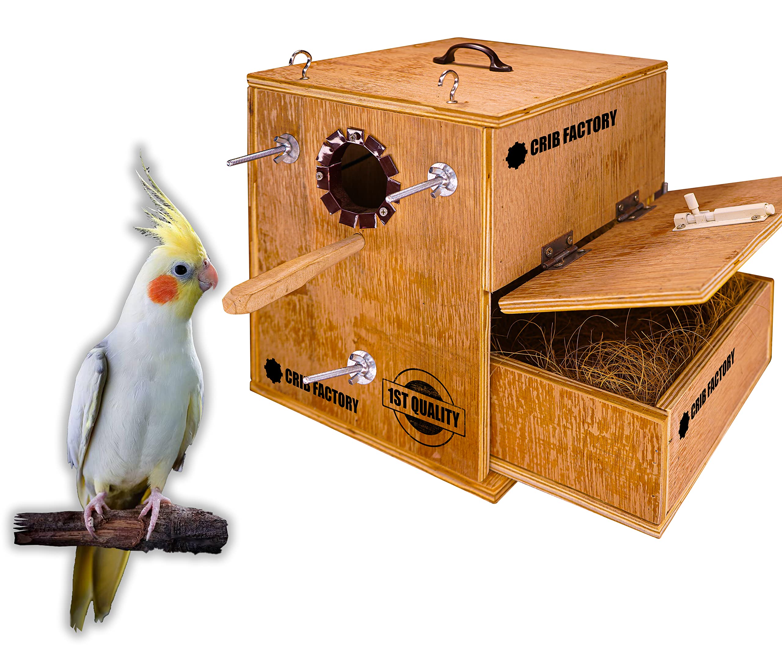 Perfect Breeding Box for Cockatiel Birds | HIGH-QULITY Plywood | 10X10X12 INCH | Designed for Cockatiel (with ONE Tray)-image-47