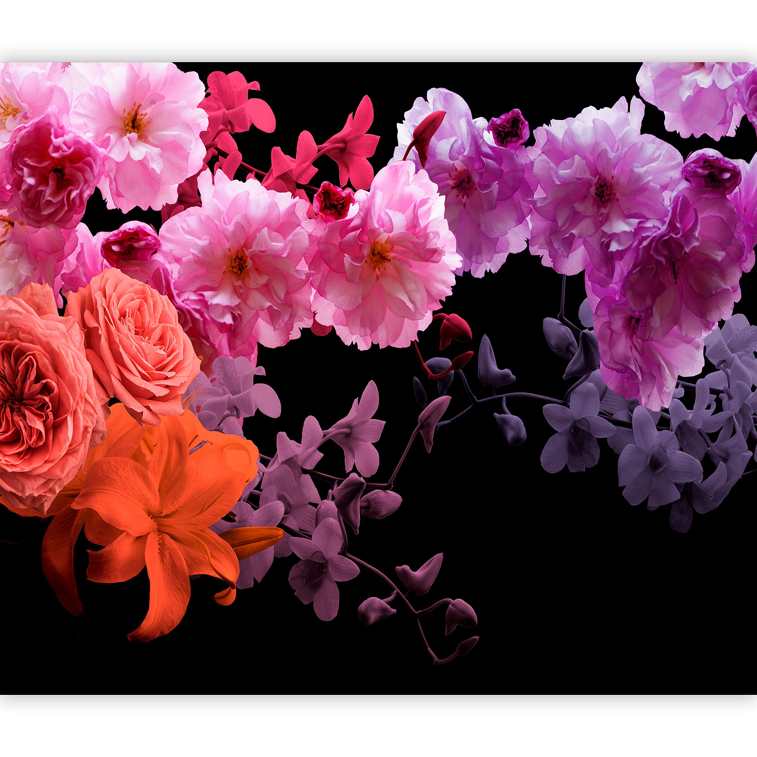 artgeist Wall Mural Flowers 173x124 in - Peel and Stick Self-Adhesive Wallpaper Removable Large Sticker Foil Wall Decor Print Picture Image Design - Pink Purple Black b-C-0353-a-a