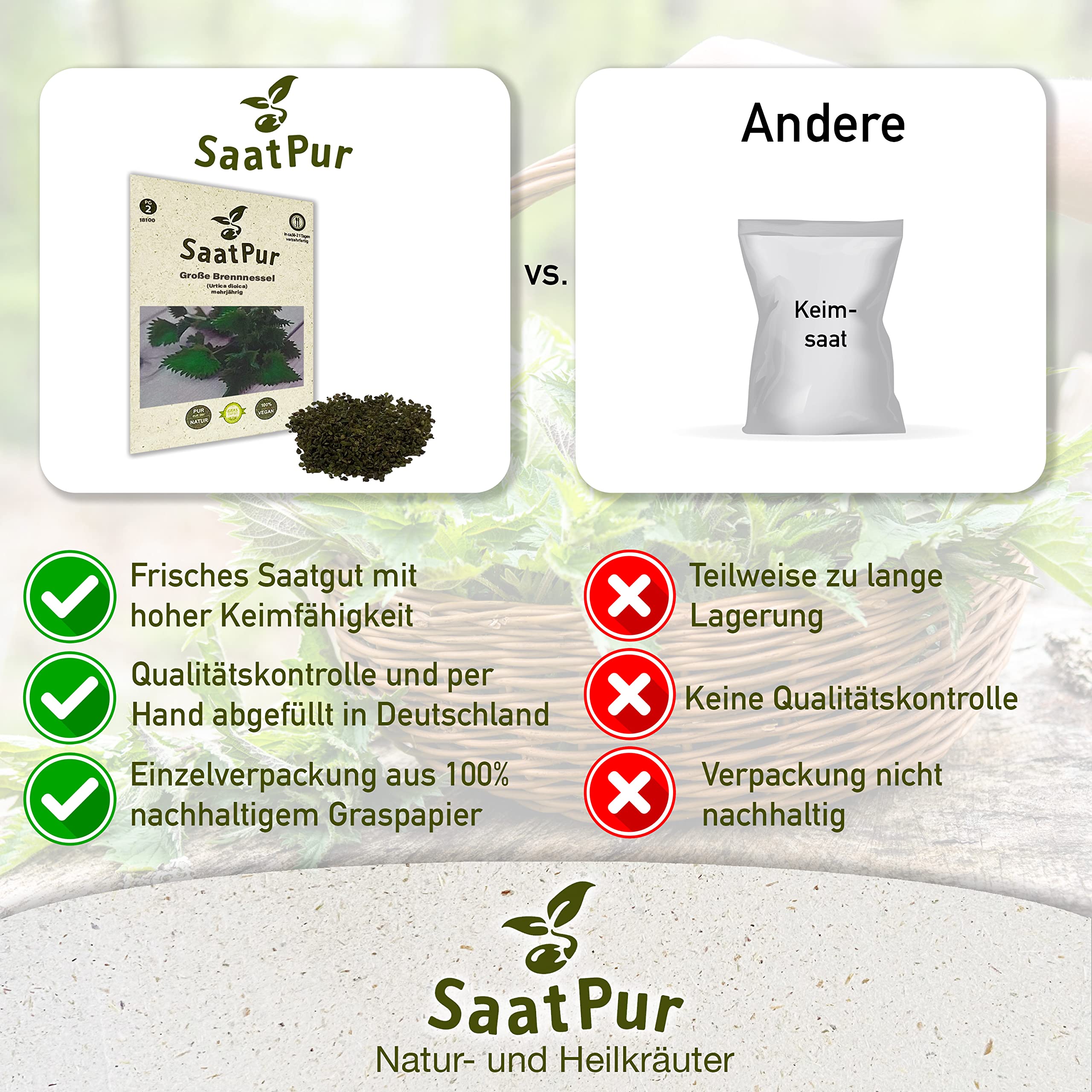 Saatpur Samen Große Brennnessel - Kleines Tray mit 25 Portionstüten für je ca. 1000 Pflanzen