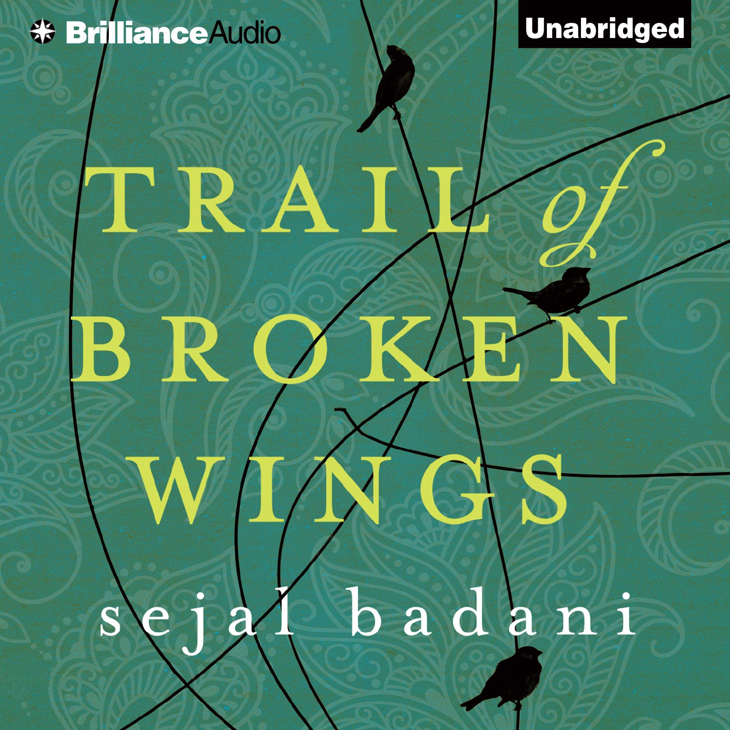 Cover art for Trail of Broken Wings
