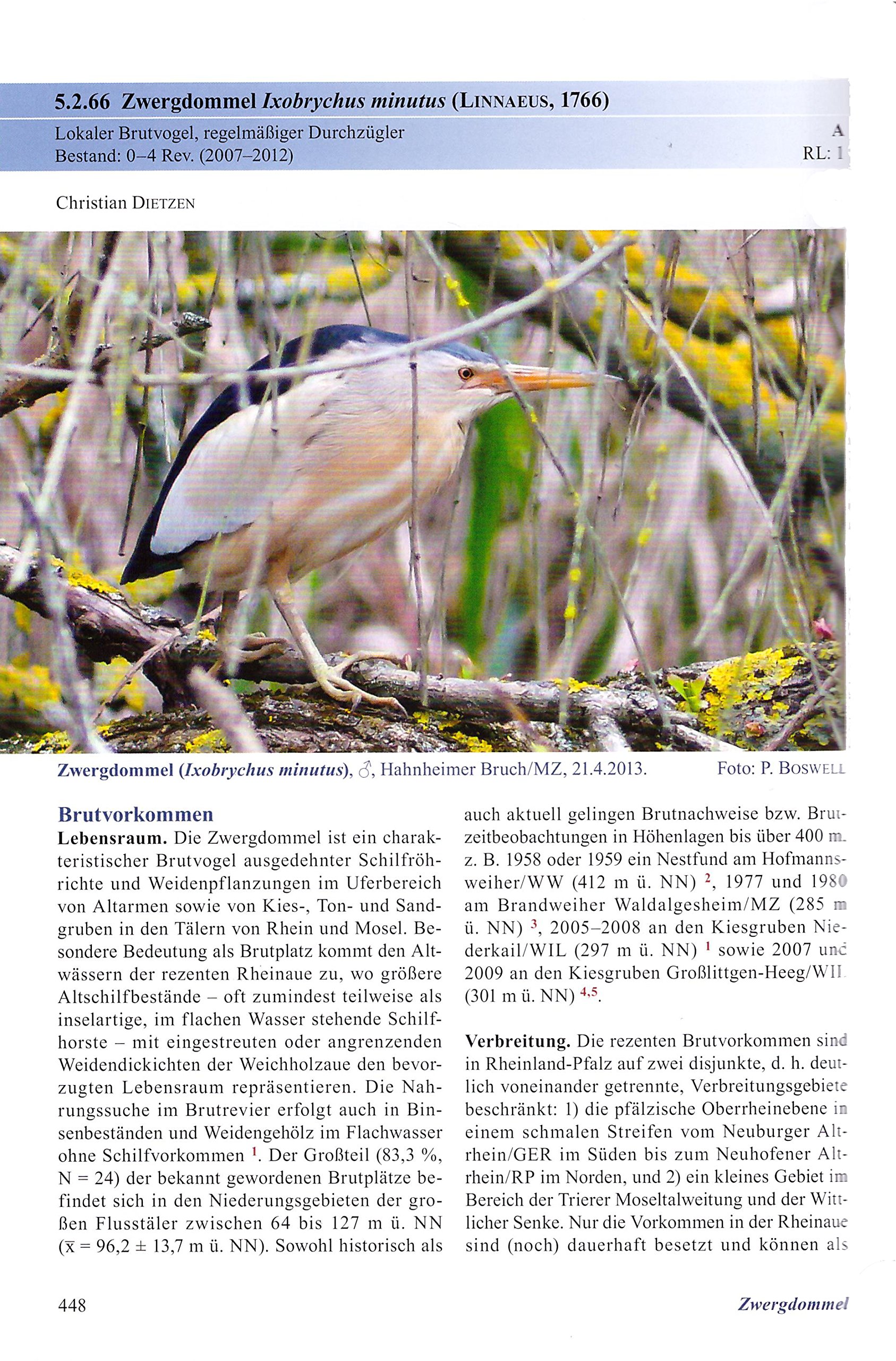 Die Vogelwelt von Rheinland-Pfalz: Band 2 - Entenvögel bis Storchenvögel (Anseriformes-Ciconiiformes)