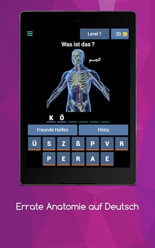 Guess Anatomie in German
