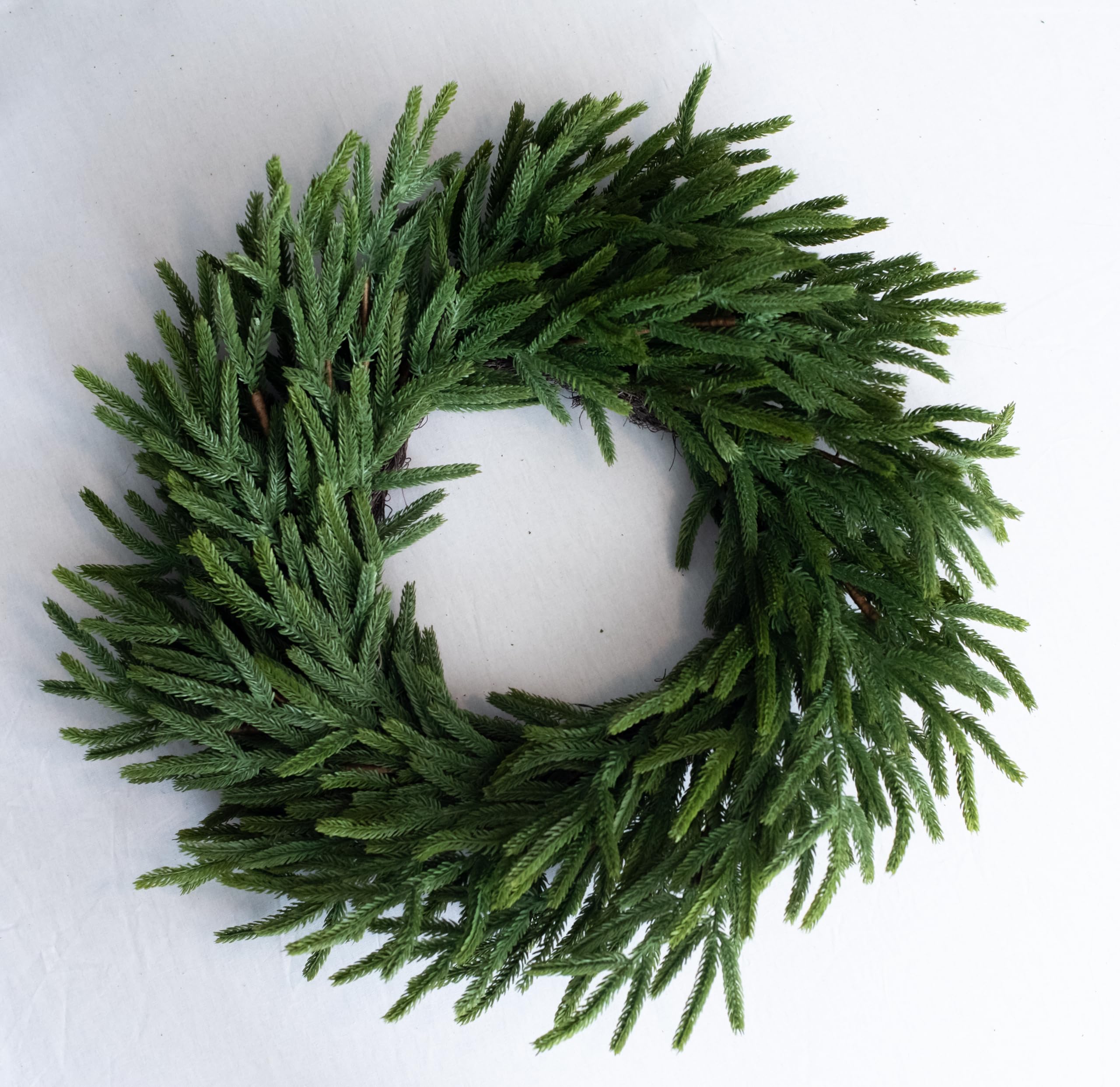 24" Real Touch Norfolk Pine Wreath, Christmas Wreaths for Front Door 24 inch, Green Wreath Christmas, Faux Cedar Wreath, Window Wreaths, Evergreen Wreath, Norfolk Wreath, Chair Wreath