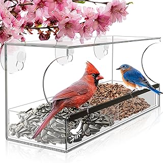 Window Bird Feeder by Nature's Hangout - Award-Winning Transparent Acryl...