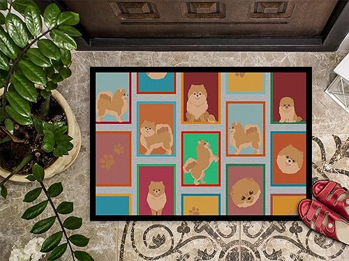 Vista 102 de Caroline's Treasures MLM1087MAT - Felpudo de perro de montaña bernés de 18 x 27 pulgadas, para interiores y exteriores, para entrada, Bernese