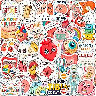 100Pcs Anatomy Stickers - Medical Doctor Physiology Stickers for Laptop, Water Bottle - Sonography Radiology Healthcare Nurse Bone Decals