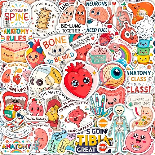 100 Piezas Calcomanías de Anatomía - Calcomanías de Fisiología de Doctor Médico para Laptop, Botella de Agua - Calcomanías de Sonografía Radiología