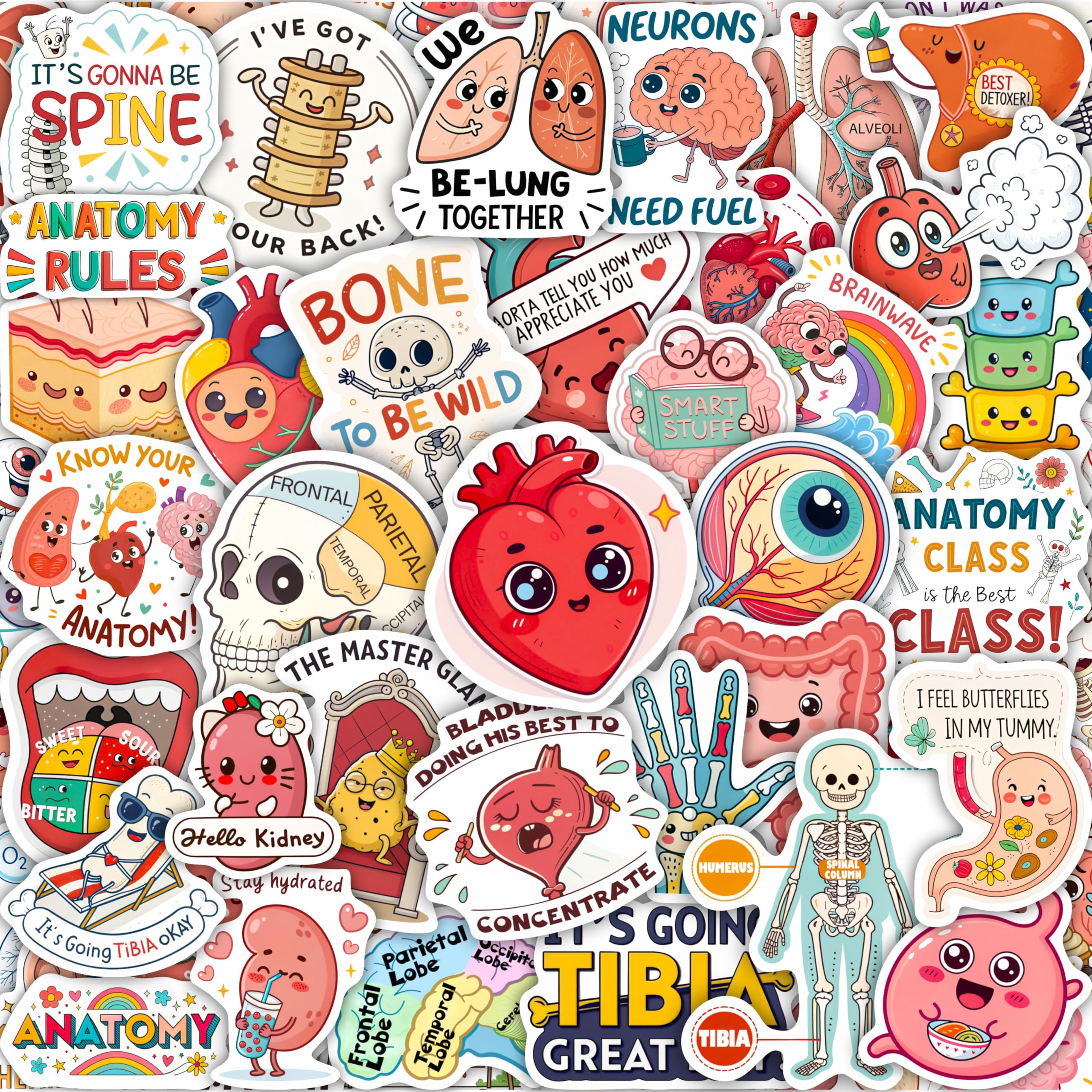 100Pcs Anatomy Stickers - Medical Doctor Physiology Stickers for Laptop, Water Bottle - Sonography Radiology Healthcare Nurse Bone Decals