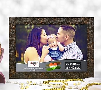 Ajanta Royal Classic 8 x 12 Photo Frame Insert (Brown Metalic) : A-68
