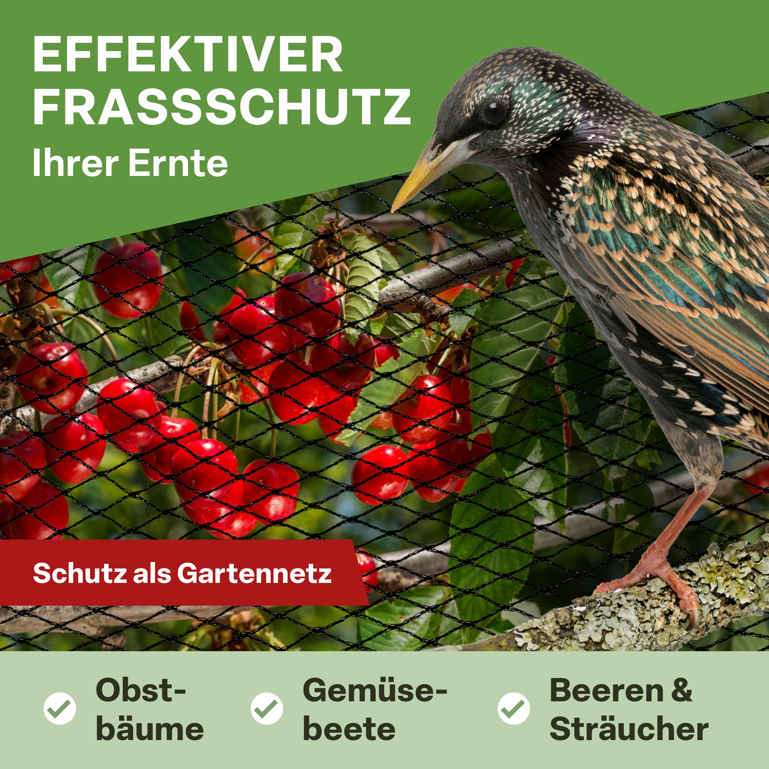 Filet De Protection Anti-oiseaux Réutilisable Pour Plantes Fruitières Et étangs De Jardin