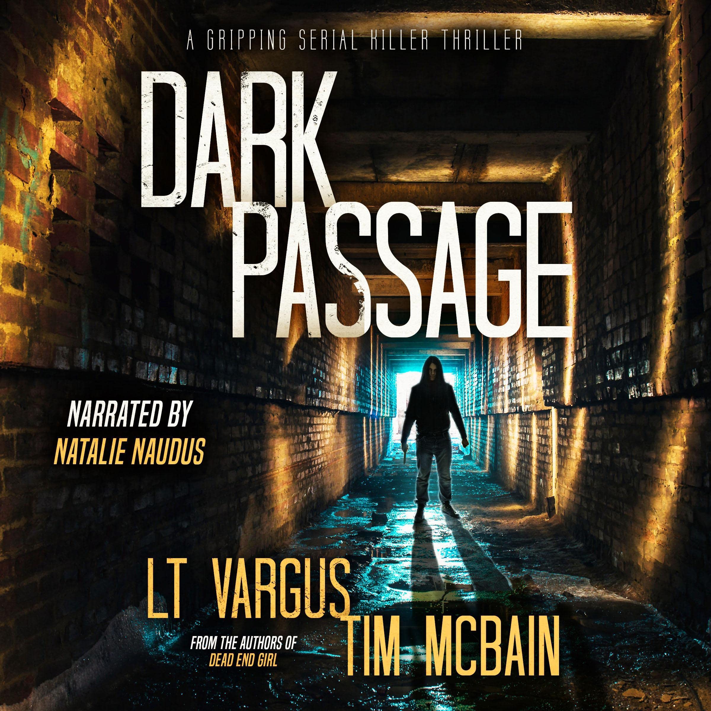 Cover art for Dark Passage