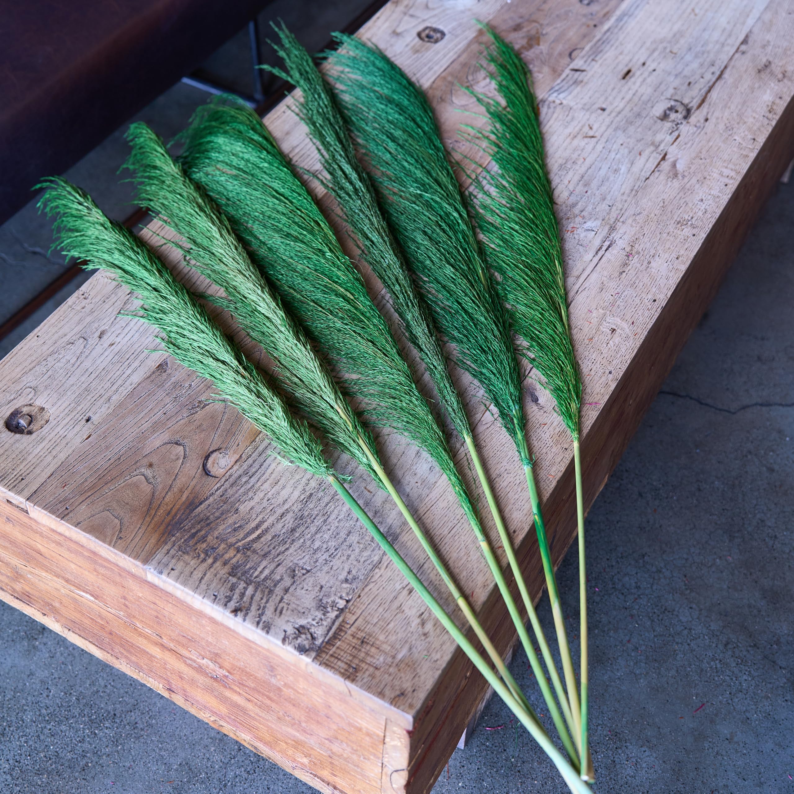 Lot de 8 Herbes de Pampa Vertes Séchées - 80 cm - Décoration Naturelle Salon - Plantes Séchées Parfumées - Style Bohème Chic - Intérieur Maison - Décoration Murale Élégante