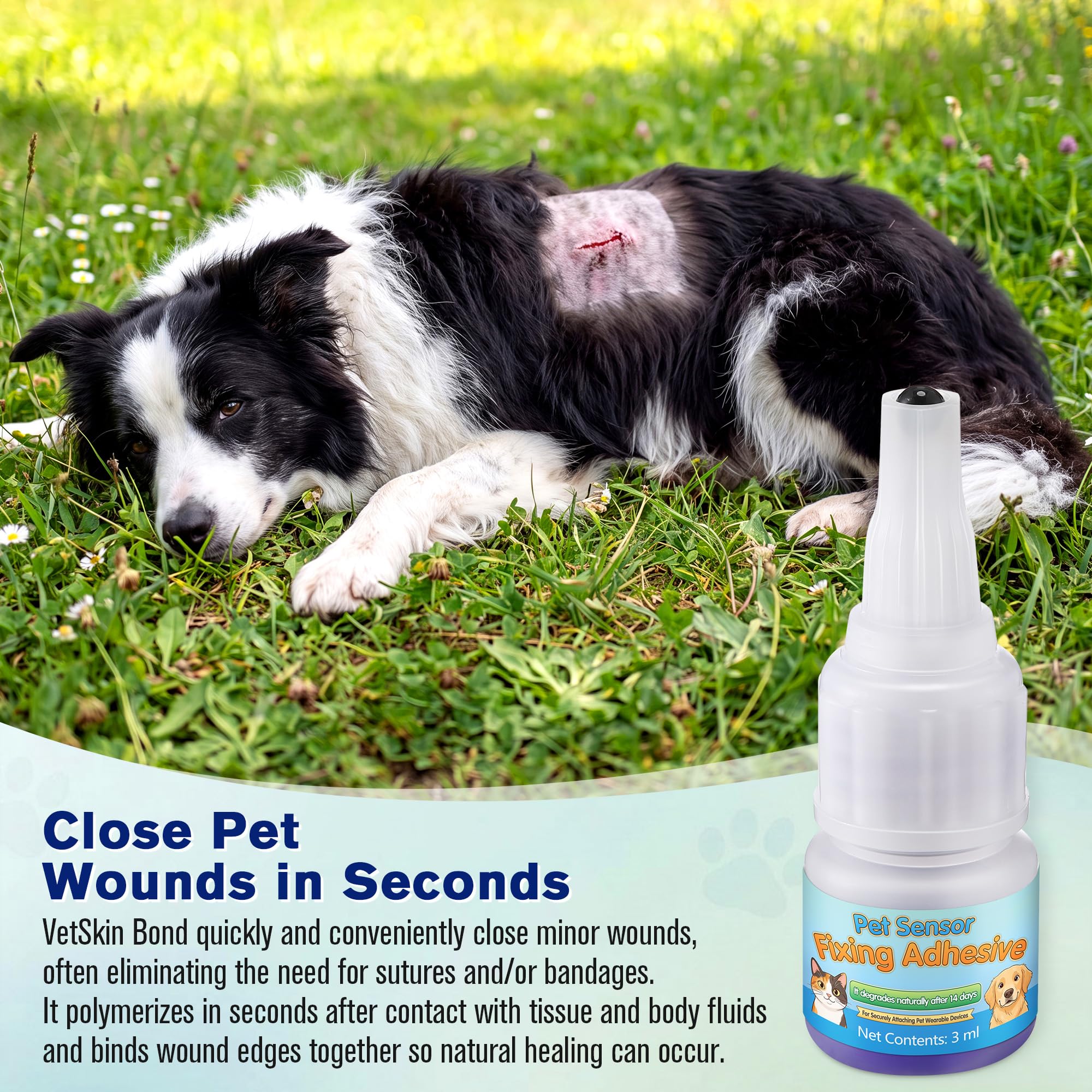3ml Veterinary Surgical Skin Glue with 10 Applicators, Fast Acting Wound Tissue Glue Sealant, CGM Sensor Adhesive for Pet with Blue Tint for Precise Application, Stay Secure for 10-14 Days — Amazon image 3