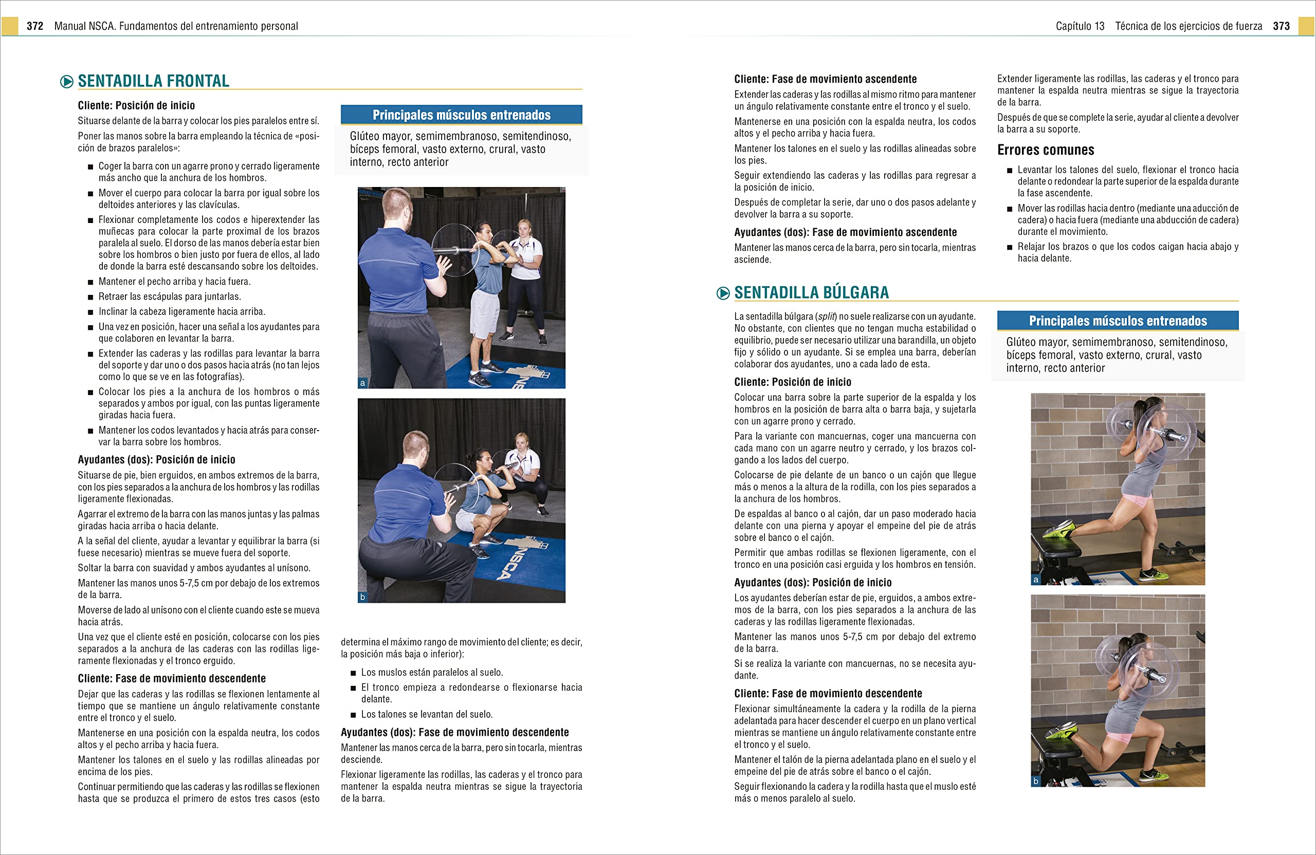 Manual NSCA. Fundamentos del entrenamiento personal. Tercera edición (SIN COLECCION)