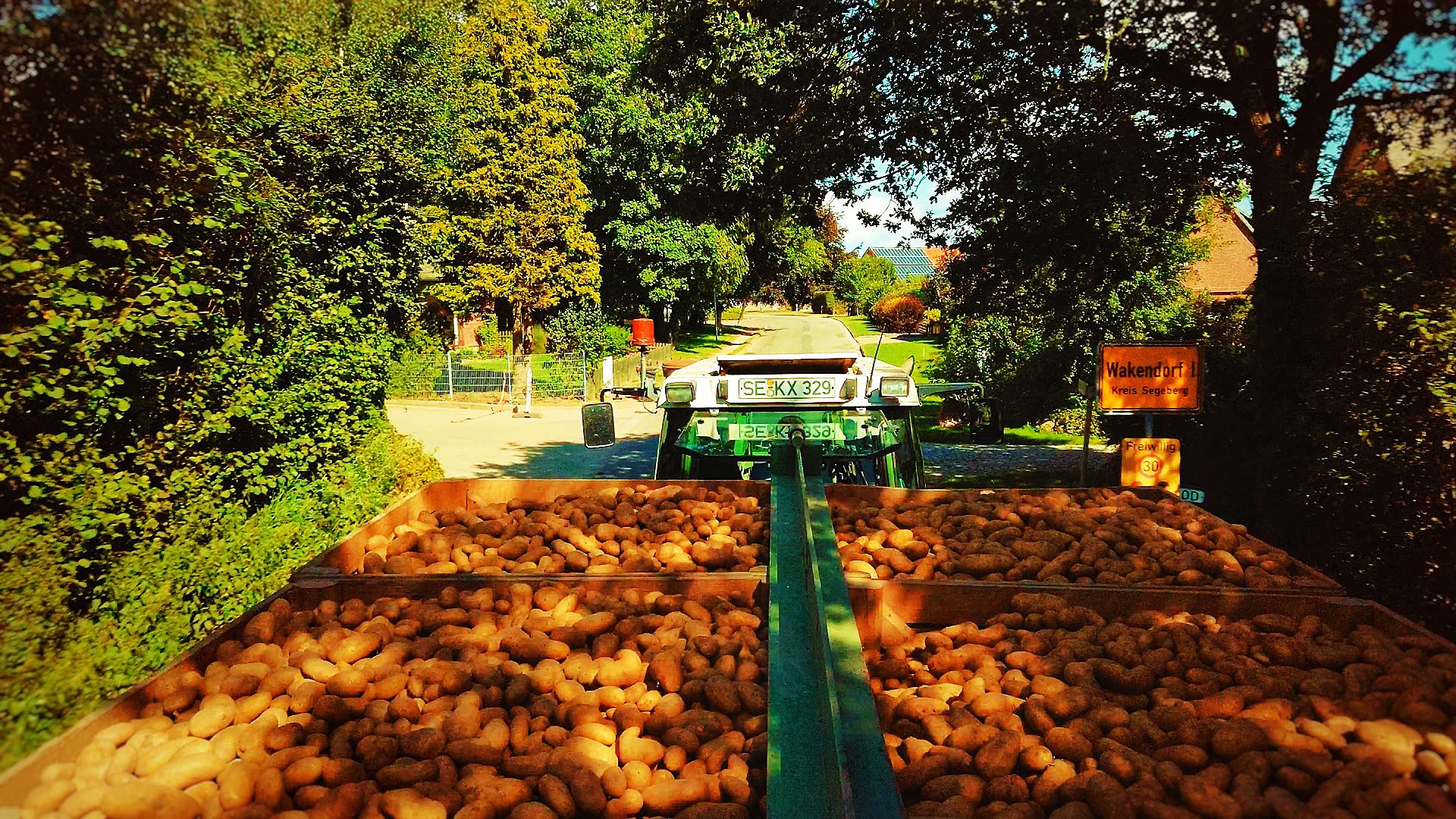 Kartoffel Lilly 10 kg, frische deutsche mehlig kochende Speisekartoffeln, kräftig gelb, Potato, für Pürreekartoffeln, Püree, Pommes, Kartoffelsuppen,