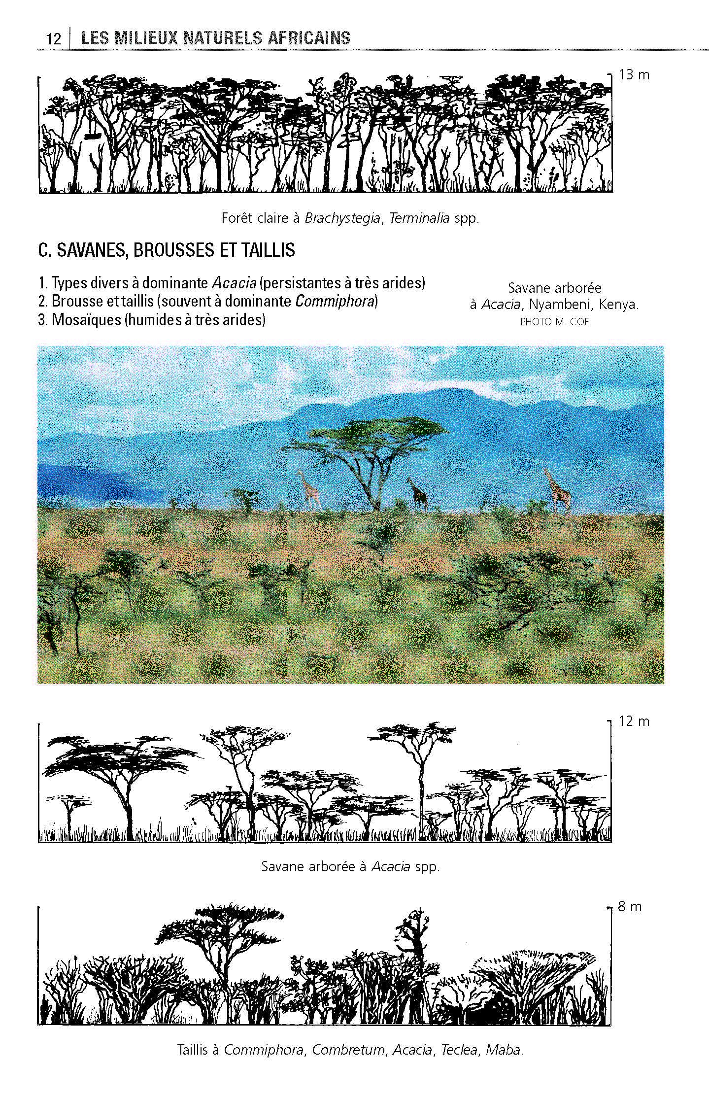 Mammifères d'Afrique: Plus de 300 espèces illustrées