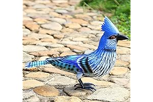 Blue Jay Decor - Garden Decorations Outdoor Clearance Idea for Bird Lovers