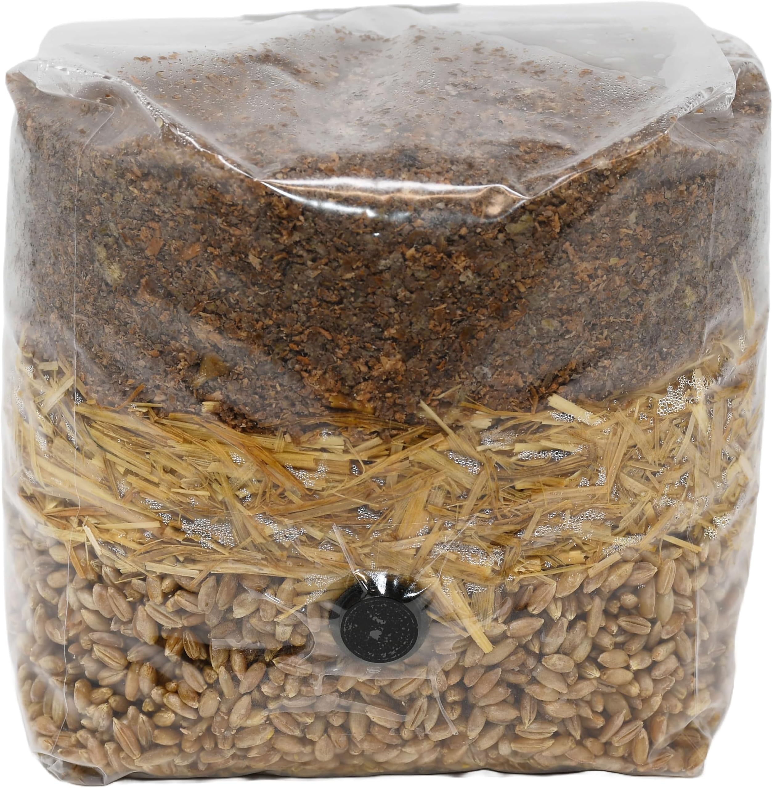 WoodBased AllinOne Mushroom Grow Bag Patio, Lawn & Garden